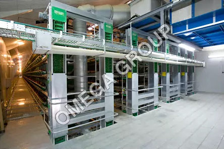 Fully Automatic Battery Cage for Layers Zucami