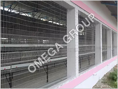 Poultry Welded Wire Mesh