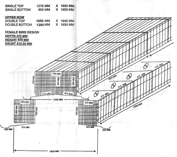 BROILER PARENT CAGES 